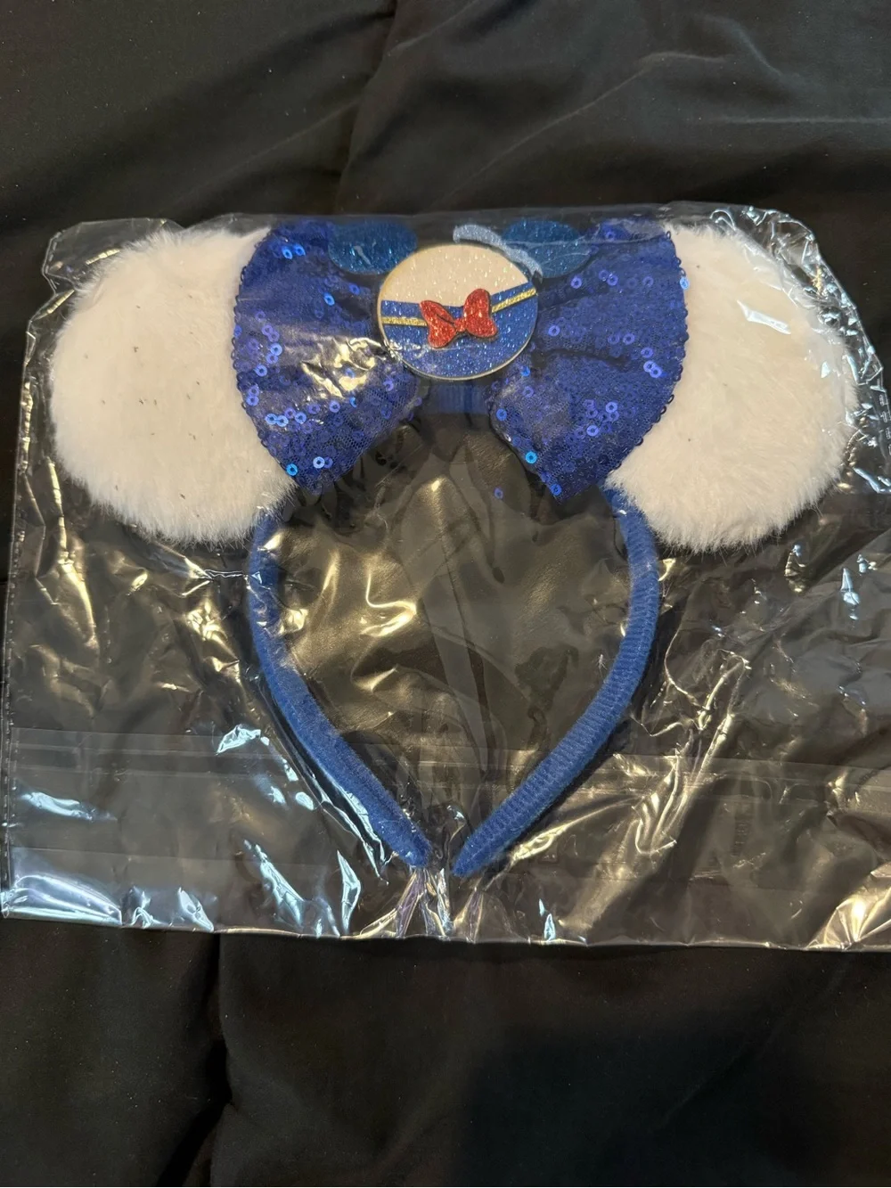 Donald Mickey Ears